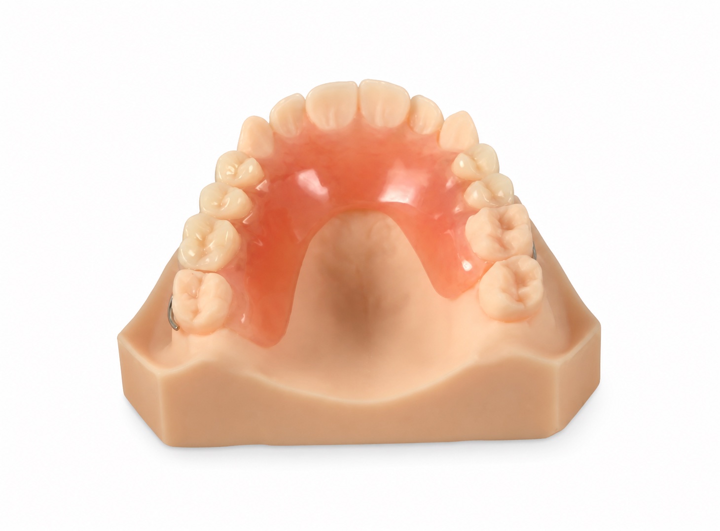 Acrylic partial denture positioned on a dental model